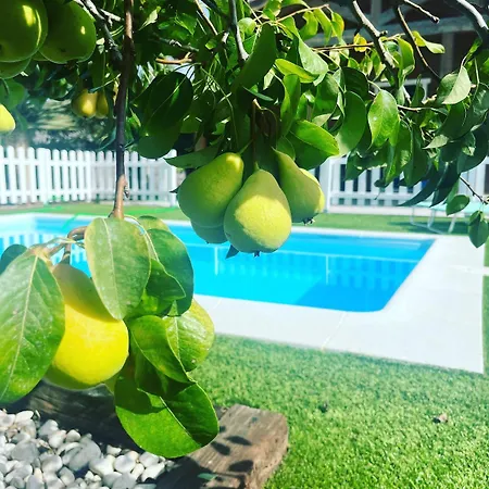 Casa El Peral Con Piscina Privada En Conil